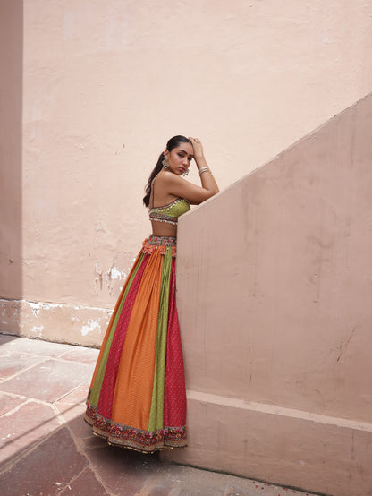 Multicolour Panelled Lehenga