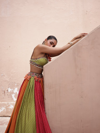 Multicolour Panelled Lehenga