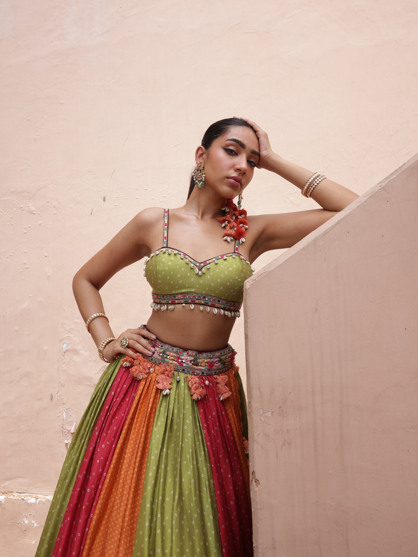 Multicolour Panelled Lehenga