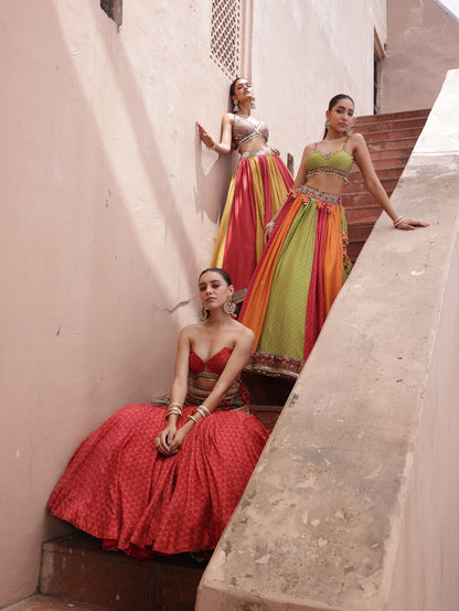 Multicolour Panelled Lehenga
